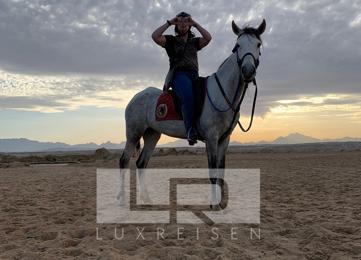 Pferde Reiten in Hurghada: Reiten am Strand oder in der Wüste photo